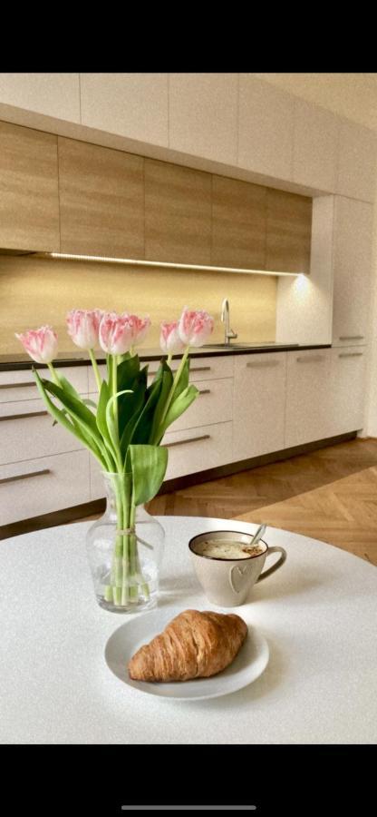 City Center Apartment Hradec Králové Extérieur photo